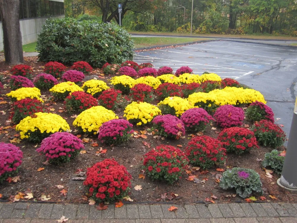 work photo from mcleodlandscaping.com