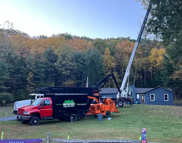 Crane job with log truck feeding the chipper