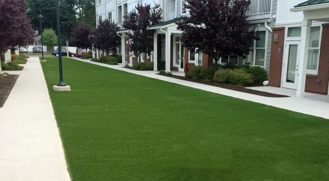 Artificial Turf for Stamford's Commercial Properties