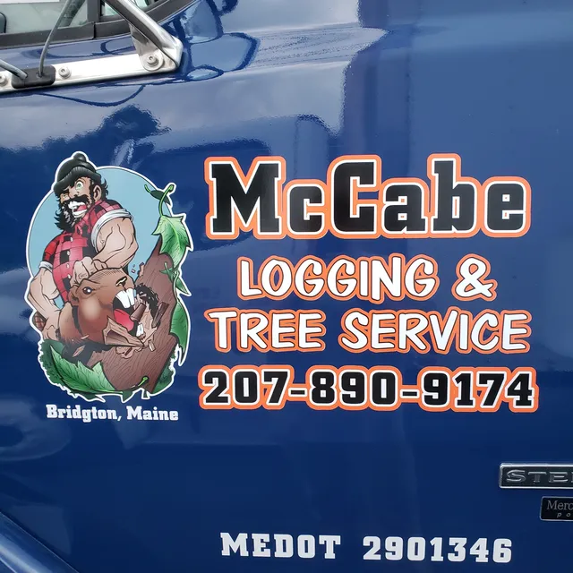 work photo from mccabeloggingandtreeservice.com