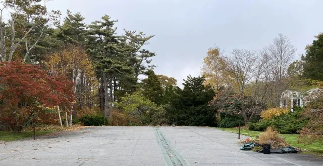 before photo of old tennis court