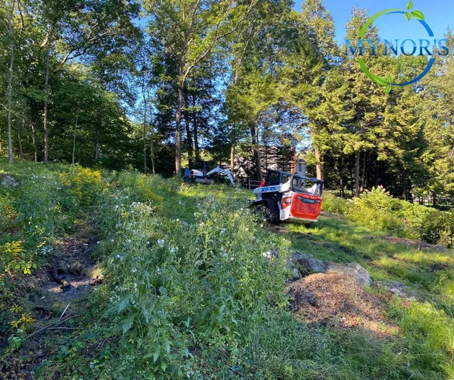 work photo from mynorslandscape.com