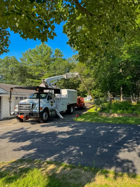 A utility truck with a bucket lift is parked on a driveway, partially covered by large green tree leaves above. The scene is in a residential area with trees, grass, and a house in the background. Tree Service Maine, Learned Tree Service