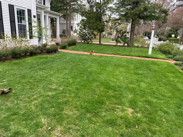 E. Gomes Landscaping researched project photo