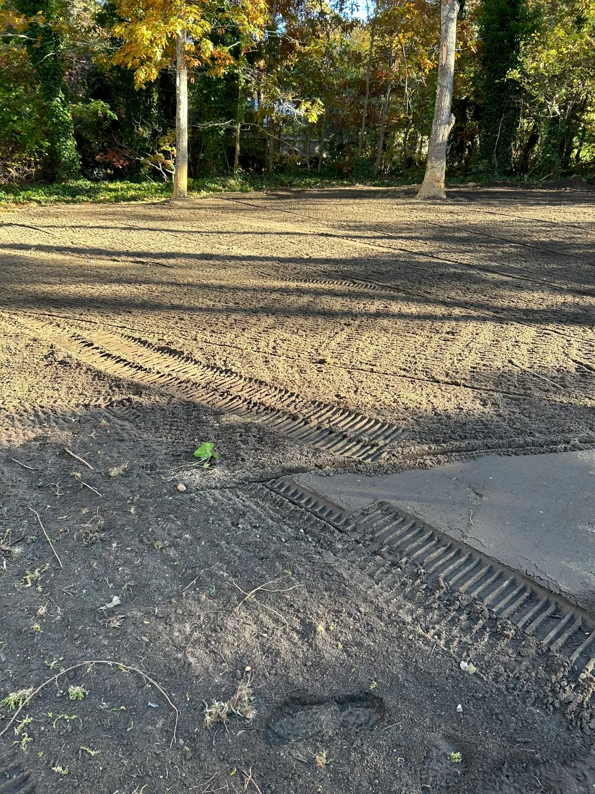 excavation cape cod