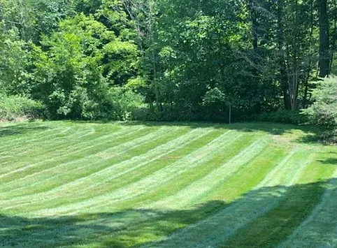 Freshly mowed lawn with clean mowing stripes in Woonsocket, RI