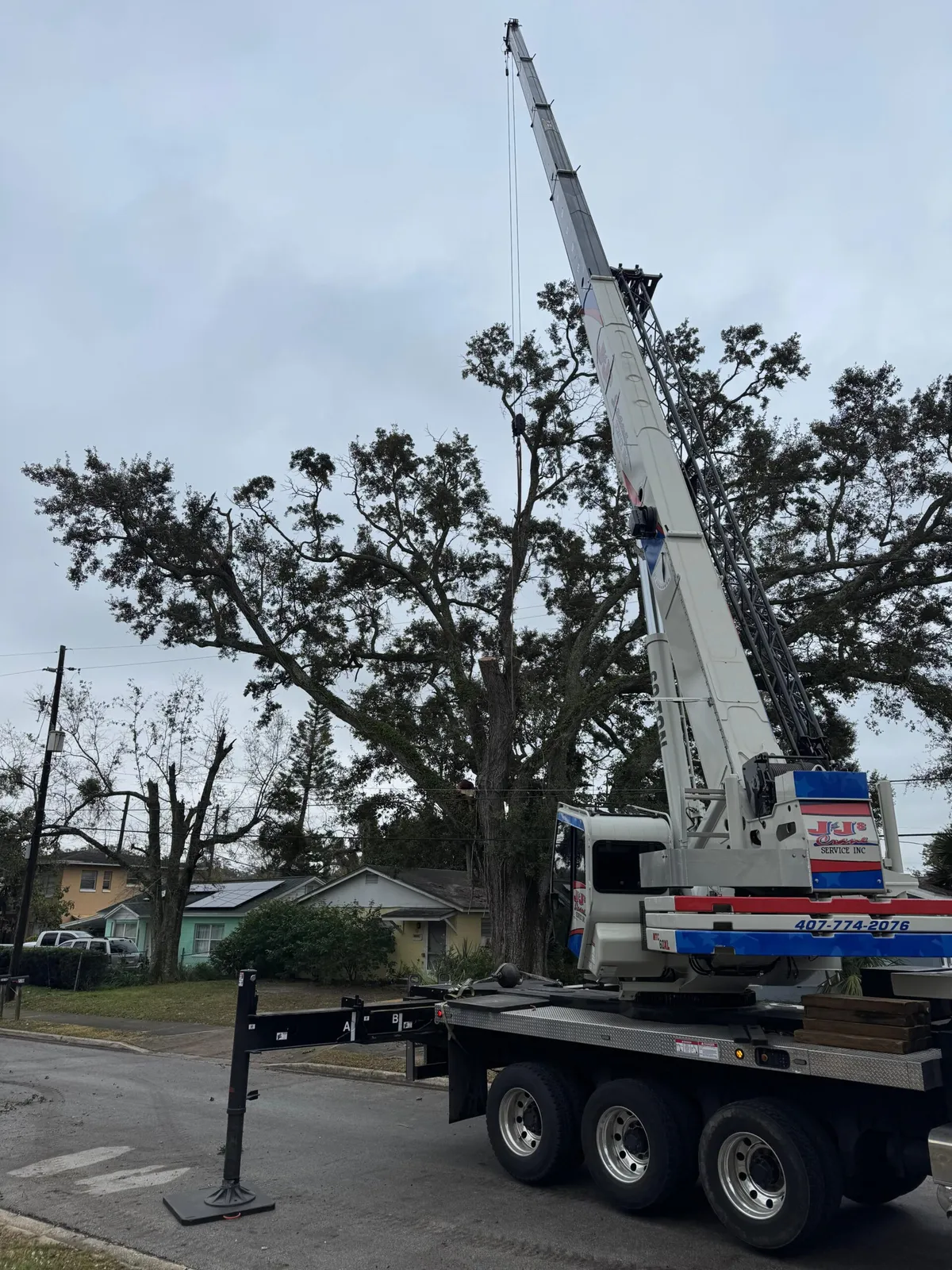 work photo from visionlandsandtreeservicesllc.com