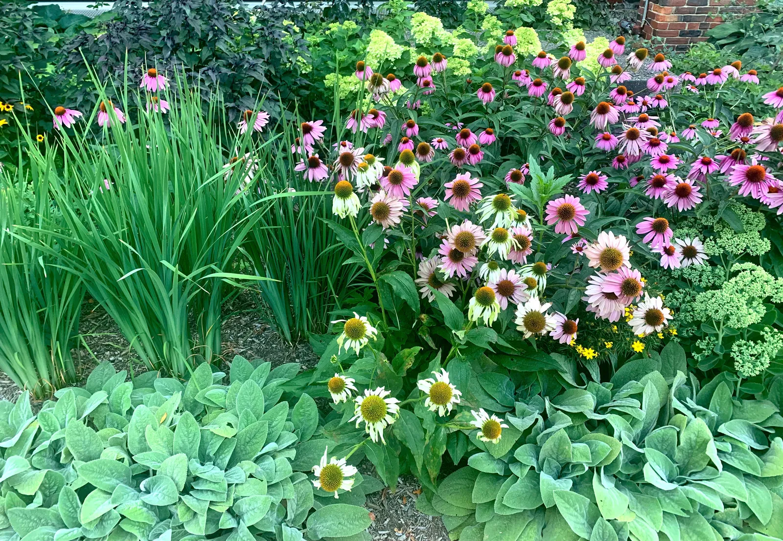 work photo from gardeneronthehill.com