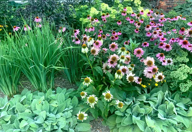 work photo from gardeneronthehill.com