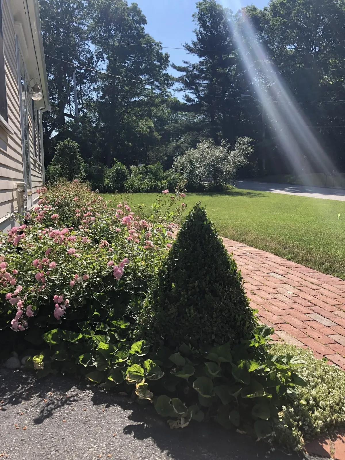 Landscape Service