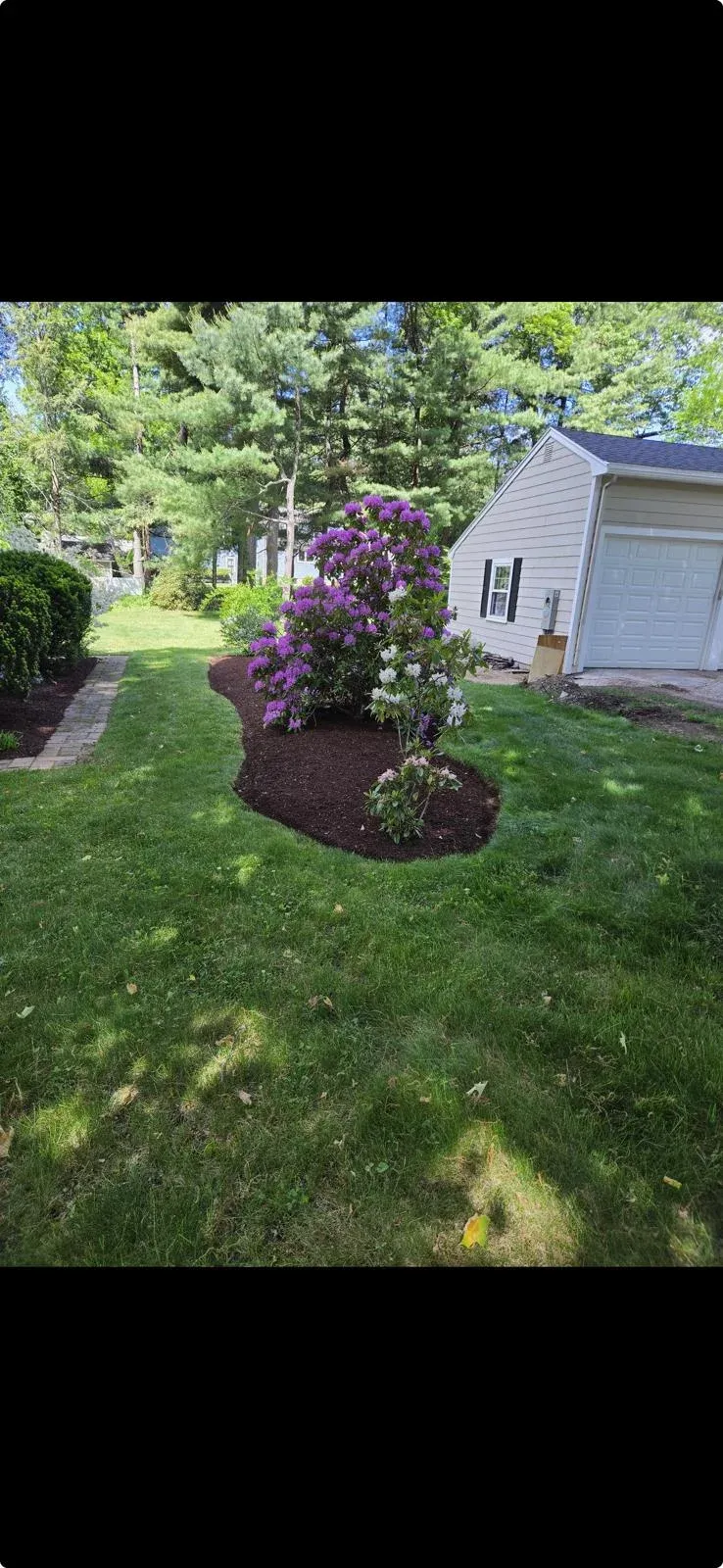 Trimmed shrubs and plantings