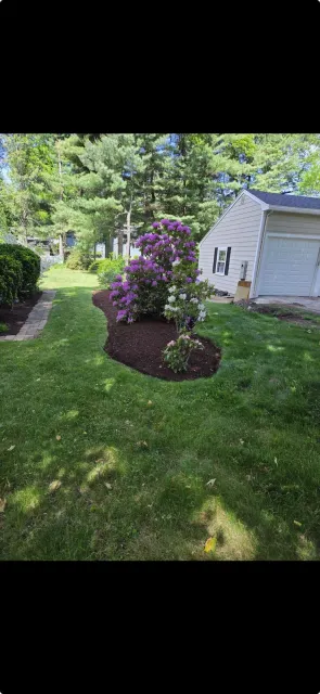 Trimmed shrubs and plantings