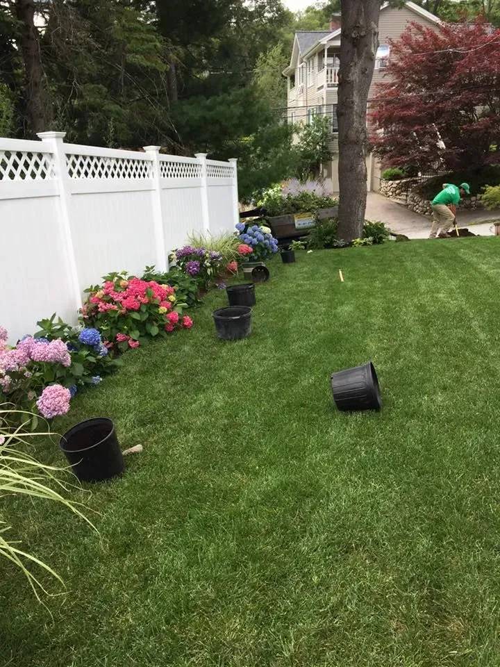 A man is planting flowers in a backyard.