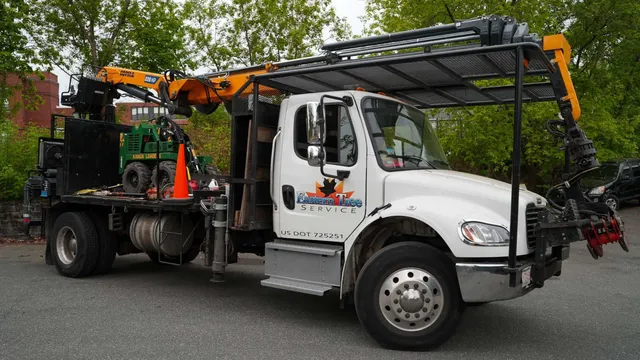 Eastern Tree Service researched project photo