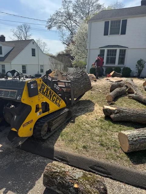 Rangel Landscaping & Contracting Inc. work photo