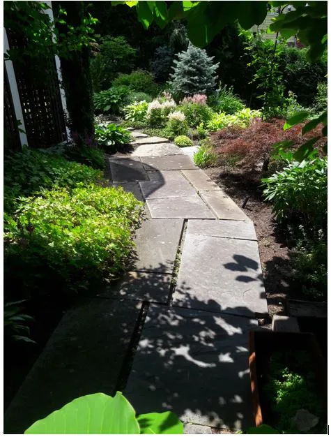 Suburban Yard Specialists work photo