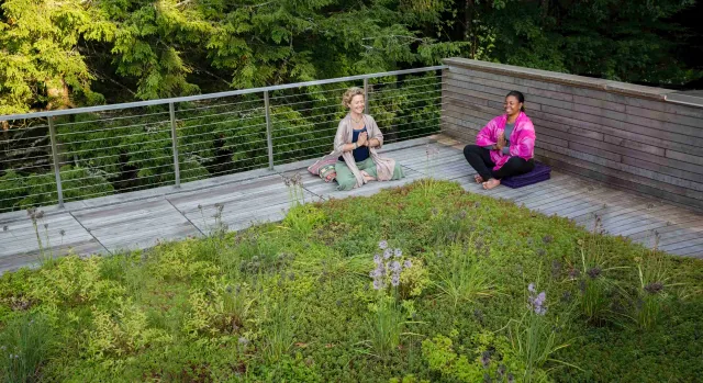 Helia Land Design_Sacred Space and Meditation.jpg