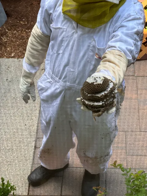 Terminix work photo