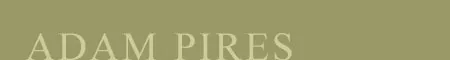 Adam Pires Custom Woodworking and Fine Cabinetry work photo