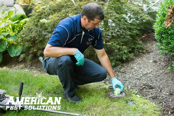 American Pest Solutions work photo