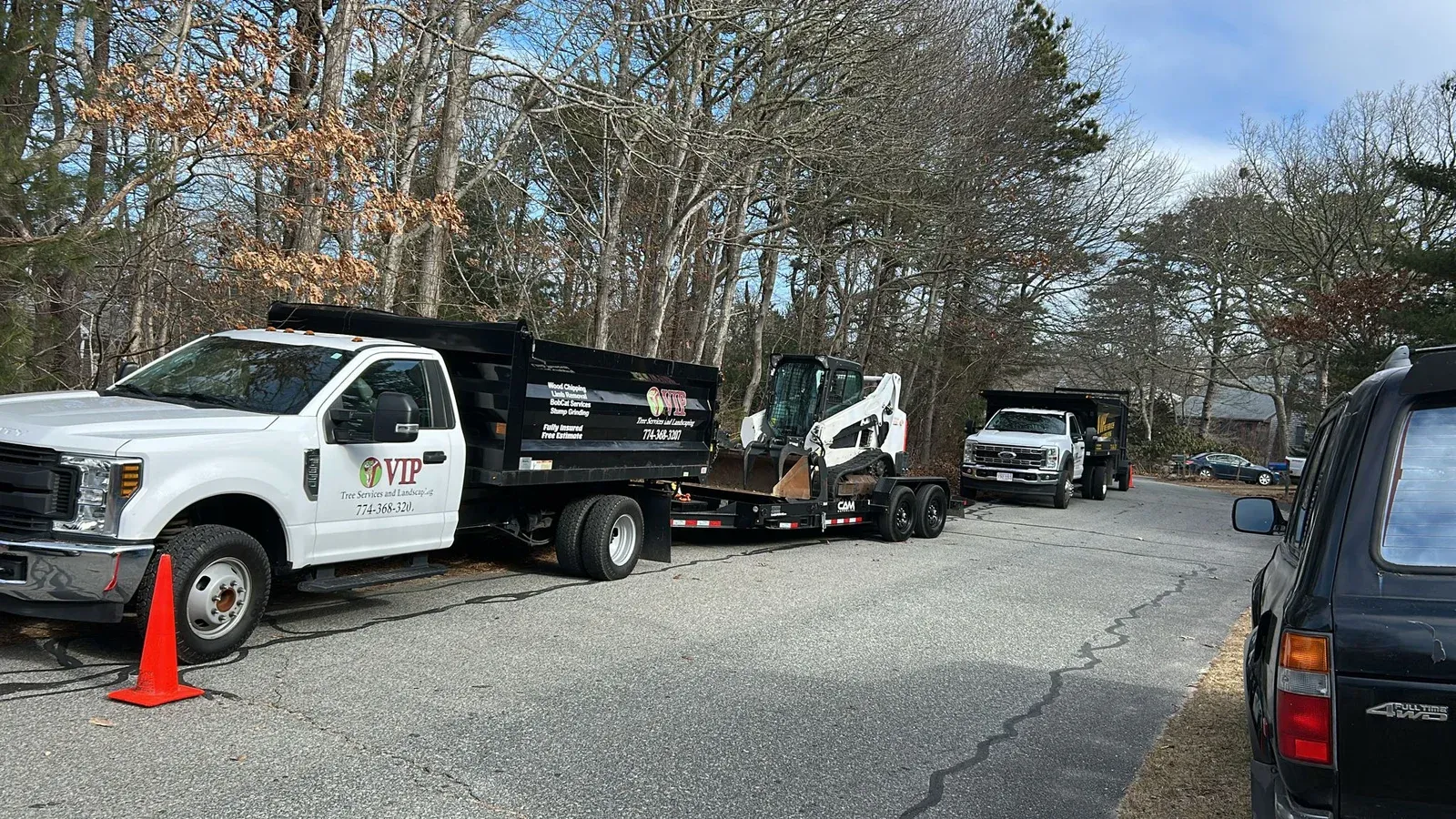 work photo from viptreeservicescapecod.com