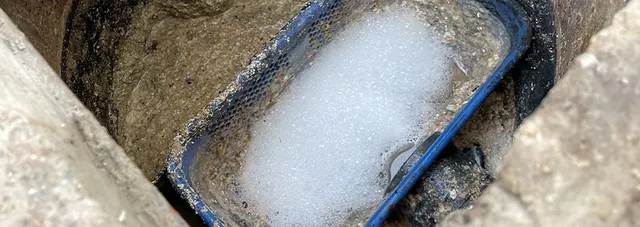 grease trap drain doctor