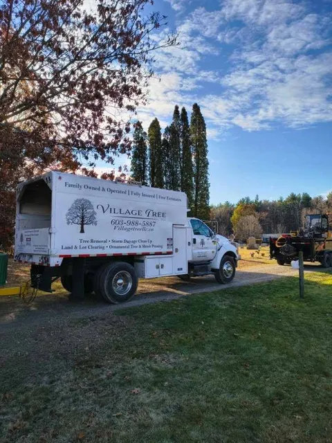 work photo from villagetreellc.com