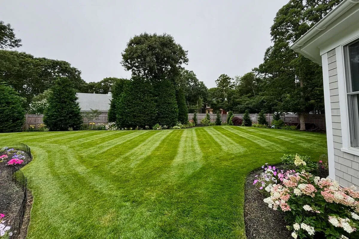 work photo from coleslawncareandlandscaping.com