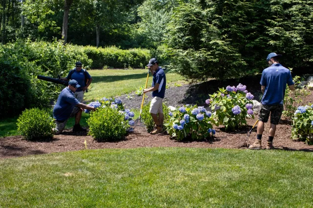 work photo from yardboss.com