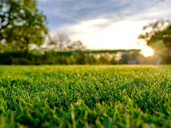 Irrigation and aeration services from Turf Unlimited Inc.