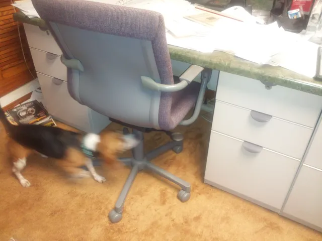 work photo from Google listing
