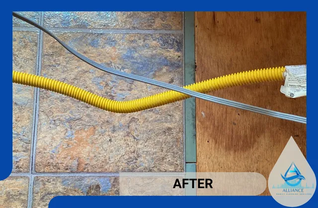 work photo from alliancefamilycleaning.com