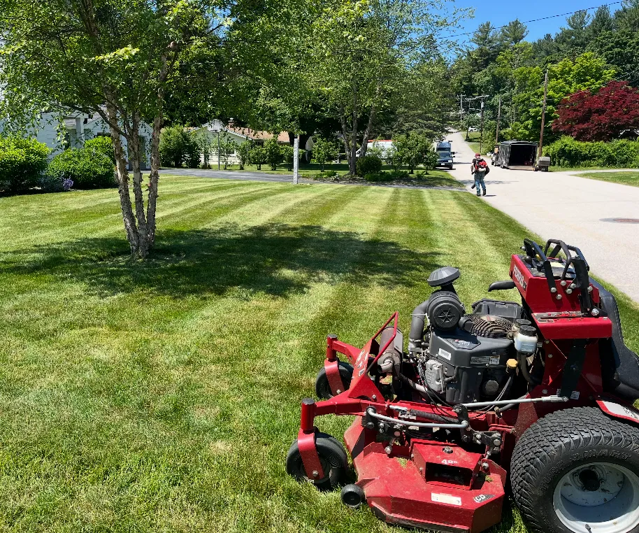 Red riding mower on a freshly mowed green lawn with trees and a residential street in the background.
