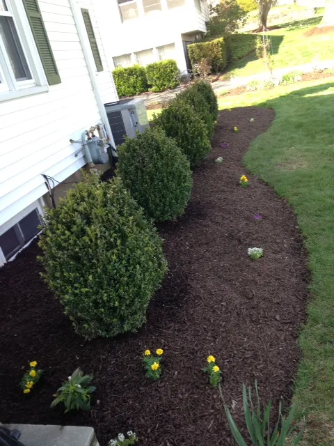 All Star Contractors, LLC work photo