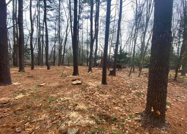 work photo from evergreenlawnandlandscape.com