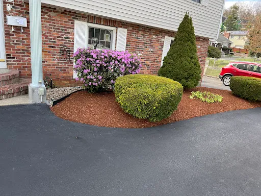 Review photo by Antonio’s landscaping