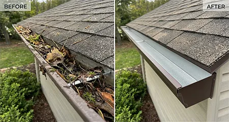 Gutter Cleaning