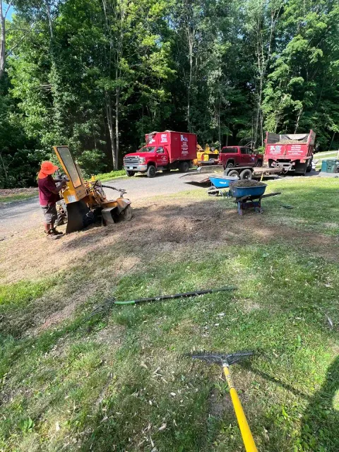 work photo from emltreeservices.com
