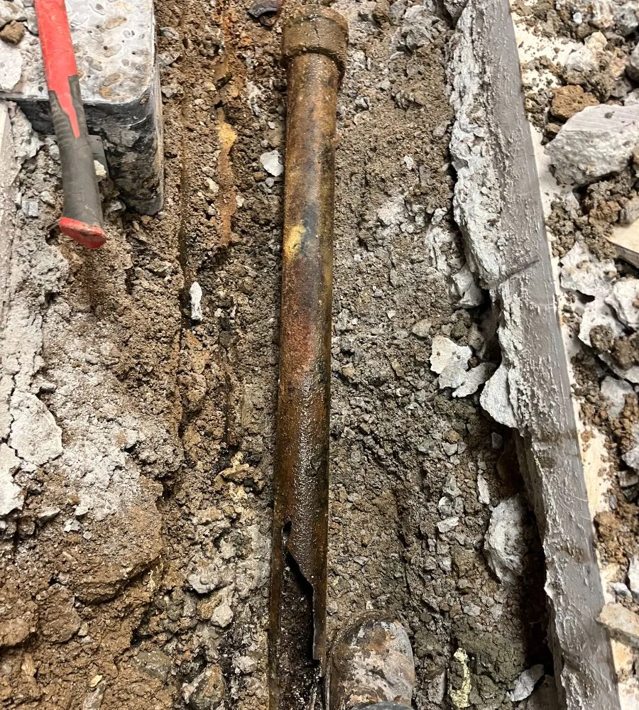 Clear Choice Drain Solutions