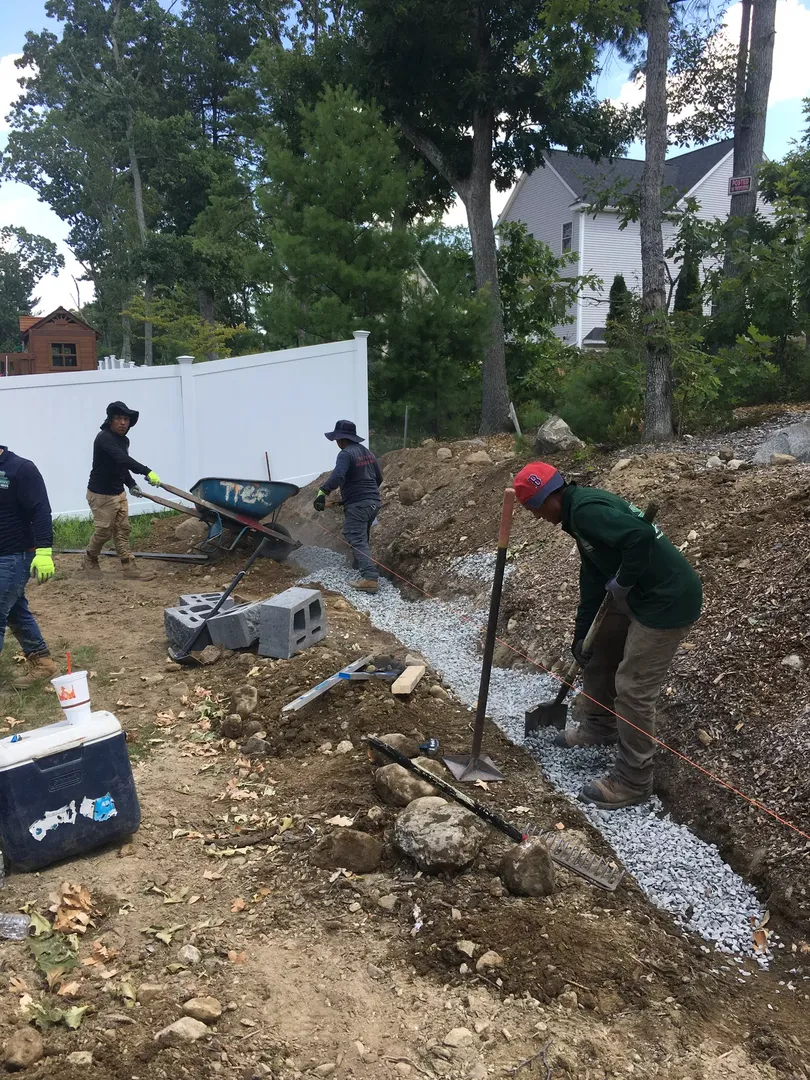 Zacarias Tree & Landscaping