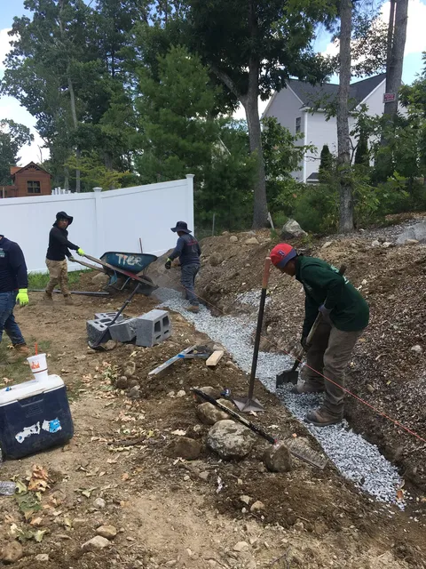 Zacarias Tree & Landscaping