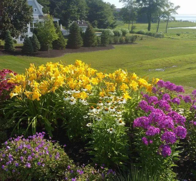 Plantings