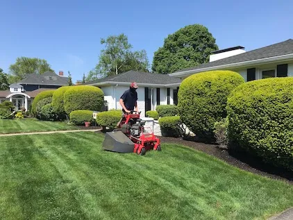 Lawn Care
