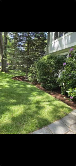 Tree and lawn maintenance