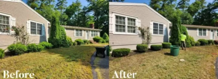 MW Guest Property Services