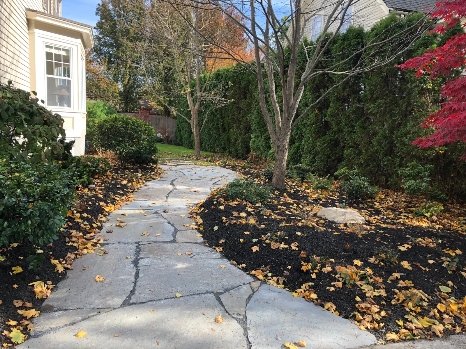 Flagstone path-quarried bluestone path
