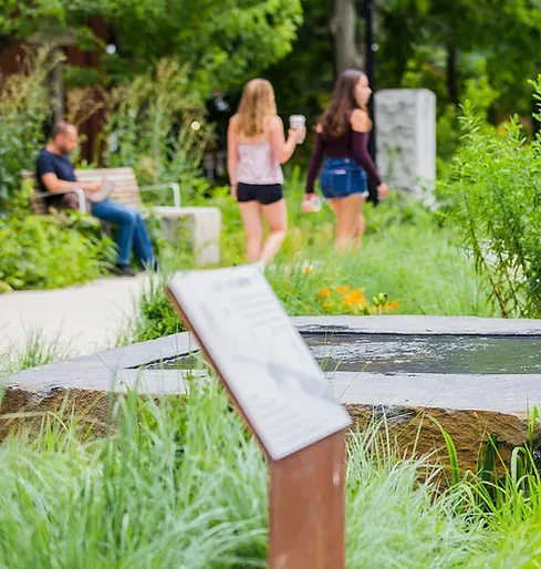 landscape design for community park with native plants