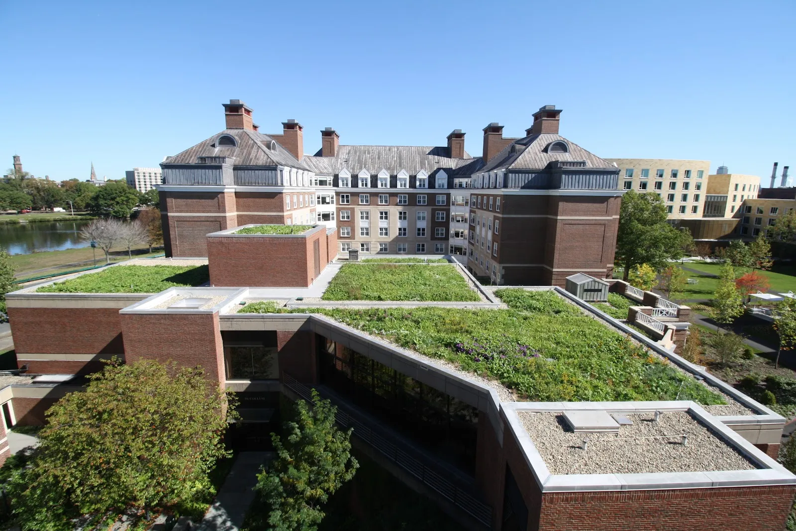 Recover Green Roofs