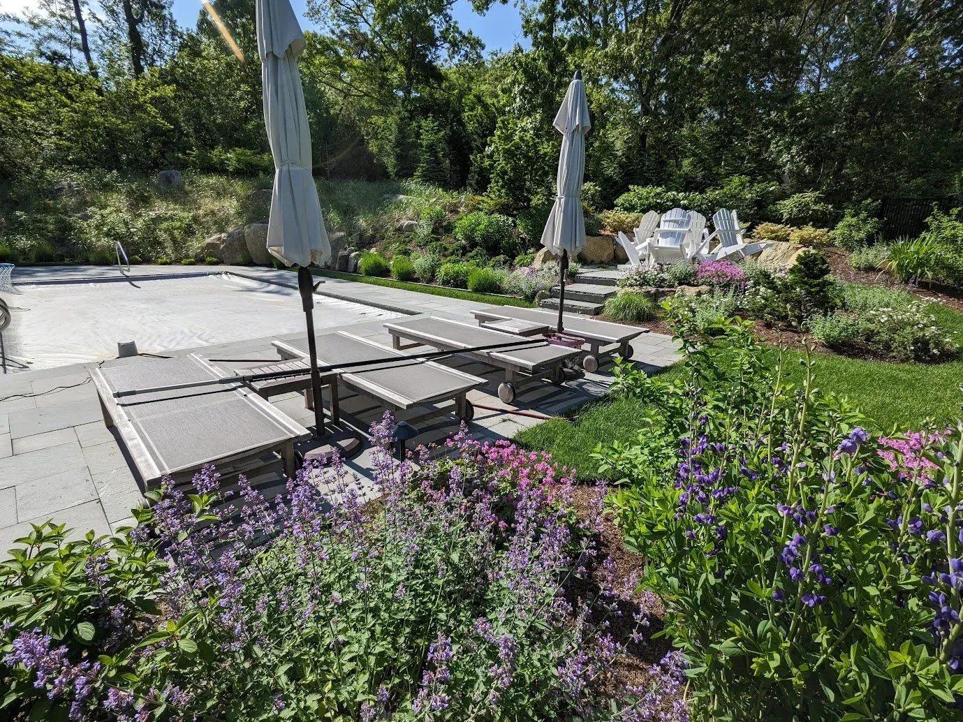 work photo from deweygardens.com