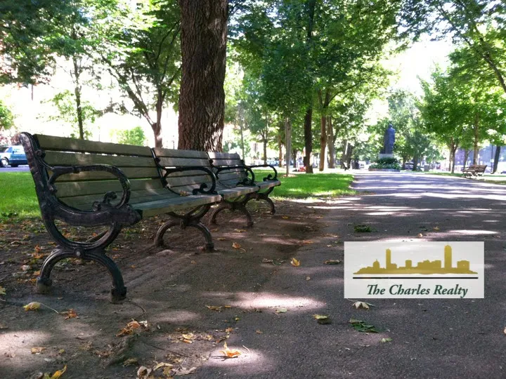 The Charles Realty
